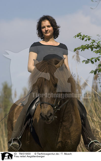 Frau reitet Aegidienberger / woman rides pony / TM-01800