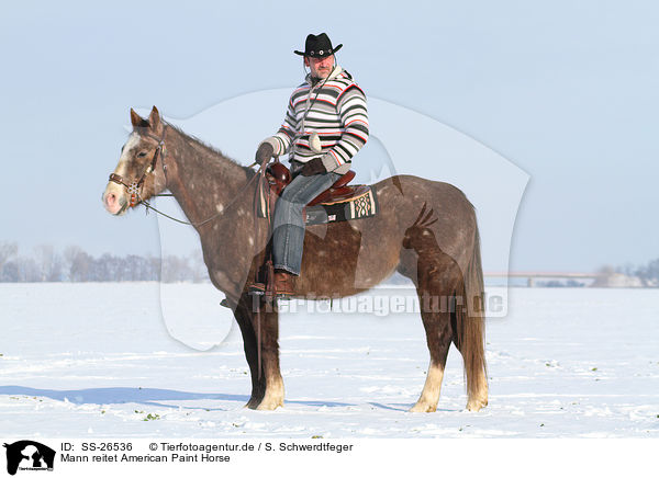 Mann reitet American Paint Horse / SS-26536