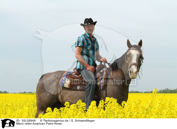 Mann reitet American Paint Horse / man rides American Paint Horse / SS-26948