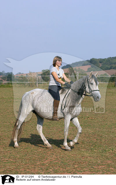 Reiterin auf einem Andalusier / IP-01294