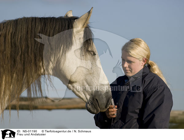 Frau und Andalusier / woman and Andalusian horse / NS-01190