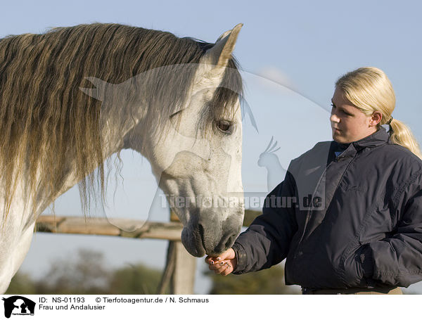 Frau und Andalusier / woman and Andalusian horse / NS-01193