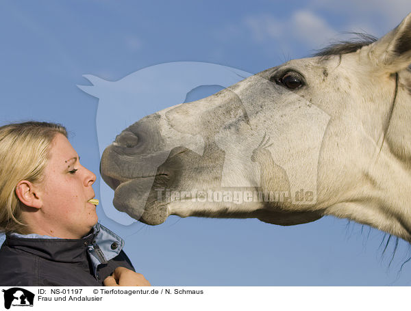 Frau und Andalusier / woman and Andalusian horse / NS-01197