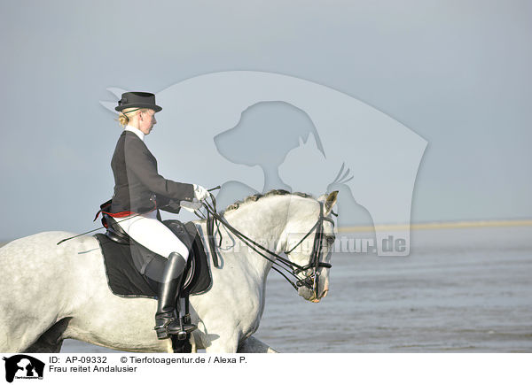 Frau reitet Andalusier / woman rides Andalusian horse / AP-09332