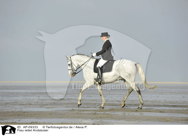 Frau reitet Andalusier / woman rides Andalusian horse / AP-09333