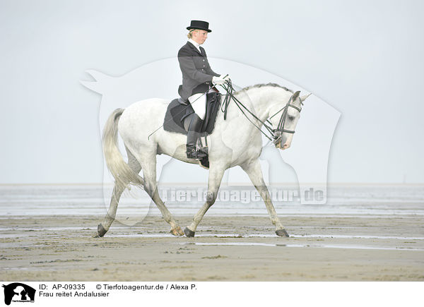 Frau reitet Andalusier / woman rides Andalusian horse / AP-09335