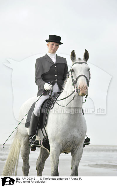 Frau reitet Andalusier / woman rides Andalusian horse / AP-09345