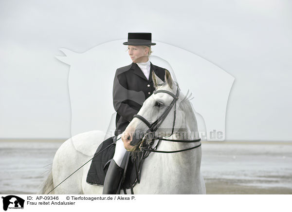 Frau reitet Andalusier / woman rides Andalusian horse / AP-09346