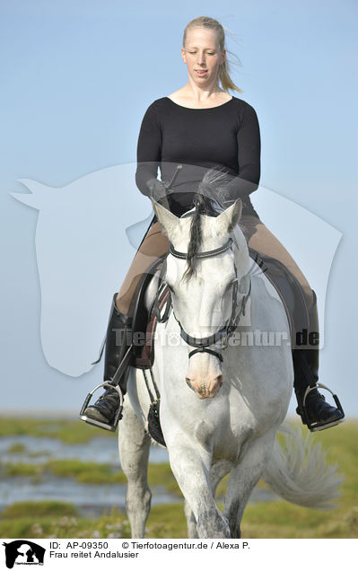 Frau reitet Andalusier / woman rides Andalusian horse / AP-09350