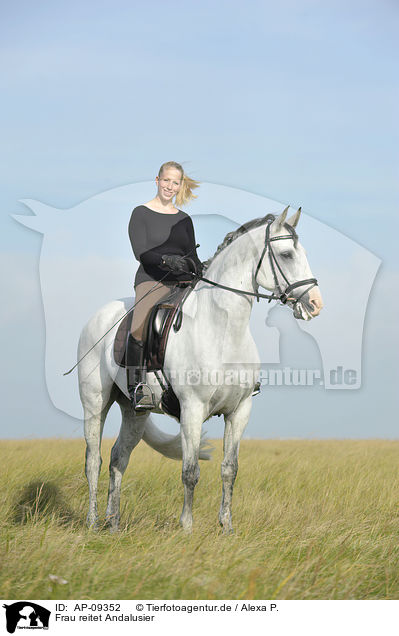 Frau reitet Andalusier / woman rides Andalusian horse / AP-09352