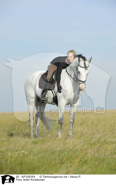Frau reitet Andalusier / woman rides Andalusian horse / AP-09354