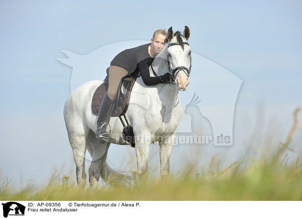 Frau reitet Andalusier / woman rides Andalusian horse / AP-09356