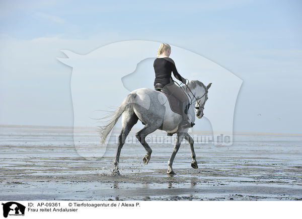Frau reitet Andalusier / woman rides Andalusian horse / AP-09361