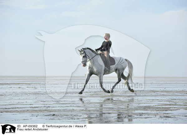 Frau reitet Andalusier / woman rides Andalusian horse / AP-09362