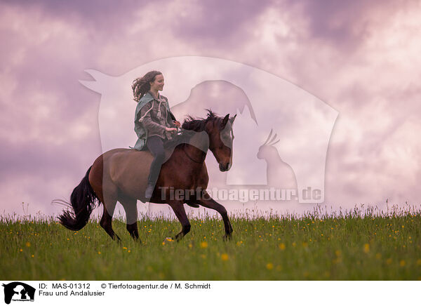 Frau und Andalusier / woman and Andalusian Horse / MAS-01312