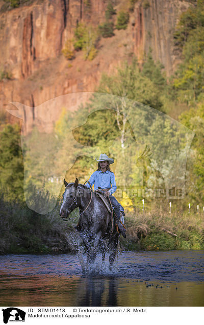 Mdchen reitet Appaloosa / girl rides Appaloosa / STM-01418