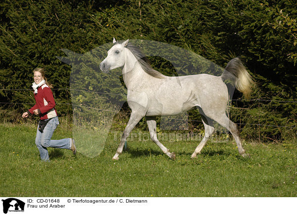 Frau und Araber / woman and arabian horse / CD-01648