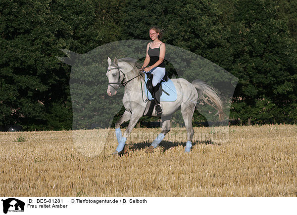 Frau reitet Araber / woman rides arabian horse / BES-01281