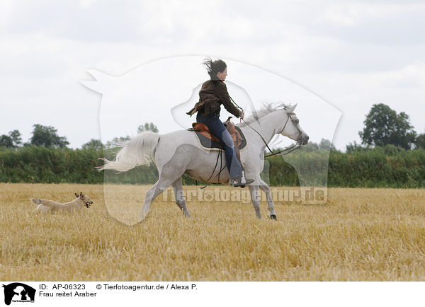 Frau reitet Araber / woman rides arabian horse / AP-06323
