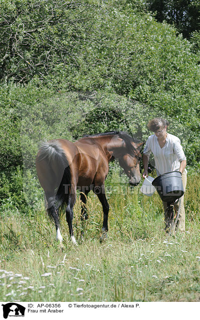 Frau mit Araber / woman with arabian horse / AP-06356