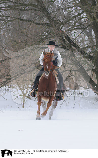 Frau reitet Araber / woman rides arabian horse / AP-07135