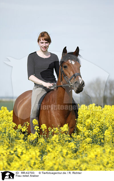 Frau reitet Araber / woman rides arabian horse / RR-42793