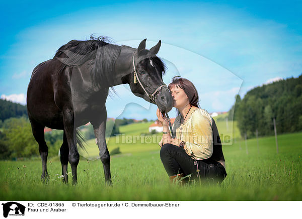 Frau und Araber / woman and arabian horse / CDE-01865