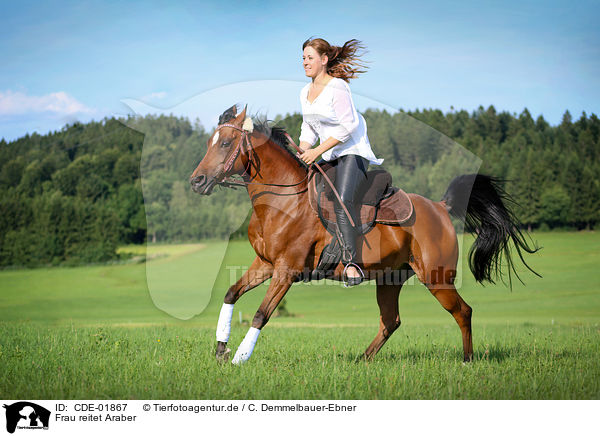 Frau reitet Araber / woman rides arabian horse / CDE-01867