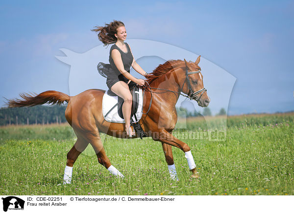 Frau reitet Araber / woman rides arabian horse / CDE-02251