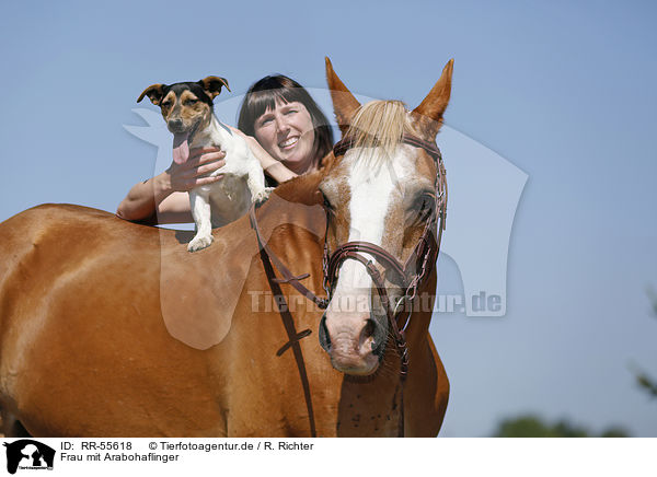 Frau mit Arabohaflinger / woman with horse / RR-55618