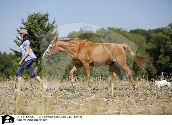 Frau mit Arabohaflinger / woman with horse / RR-55627