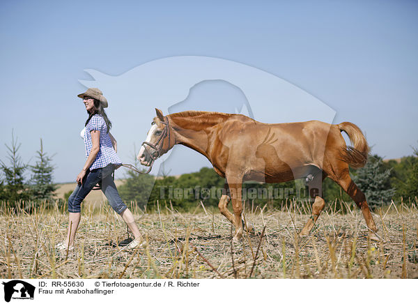 Frau mit Arabohaflinger / woman with horse / RR-55630