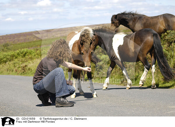 Frau mit Dartmoor Hill Ponies / CD-01659