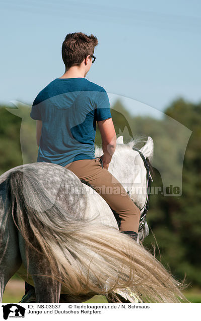 Junge und Deutsches Reitpferd / boy and warmblood / NS-03537