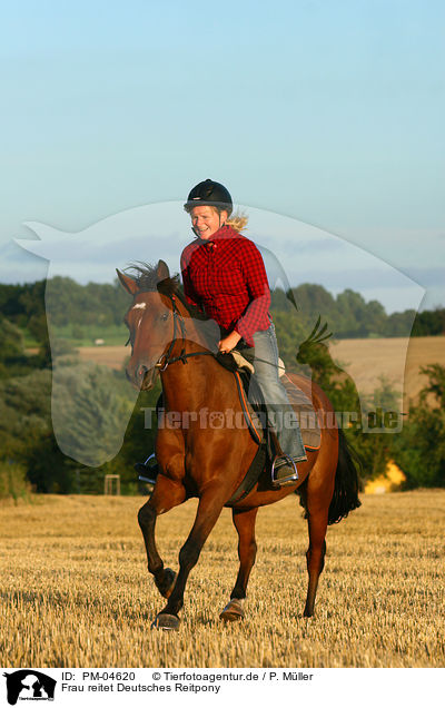 Frau reitet Deutsches Reitpony / woman rides Pony / PM-04620