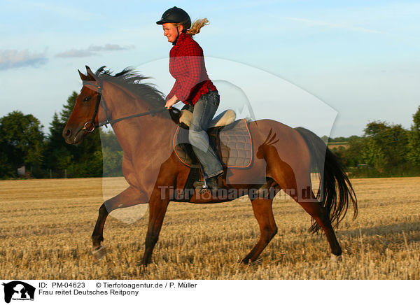 Frau reitet Deutsches Reitpony / woman rides Pony / PM-04623