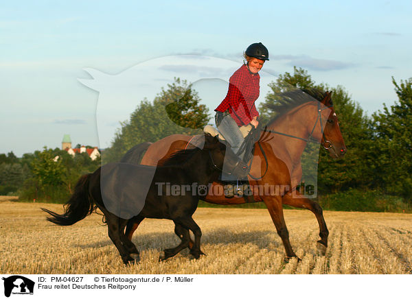 Frau reitet Deutsches Reitpony / woman rides Pony / PM-04627