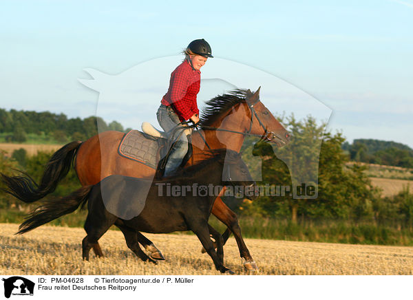 Frau reitet Deutsches Reitpony / woman rides Pony / PM-04628