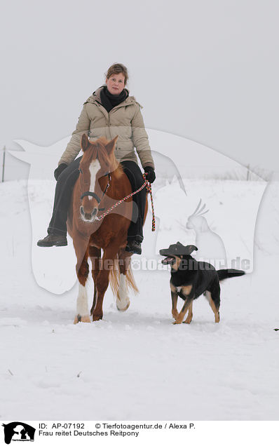 Frau reitet Deutsches Reitpony / AP-07192