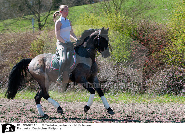 Frau reitet Deutsches Reitpony / woman rides pony / NS-02815