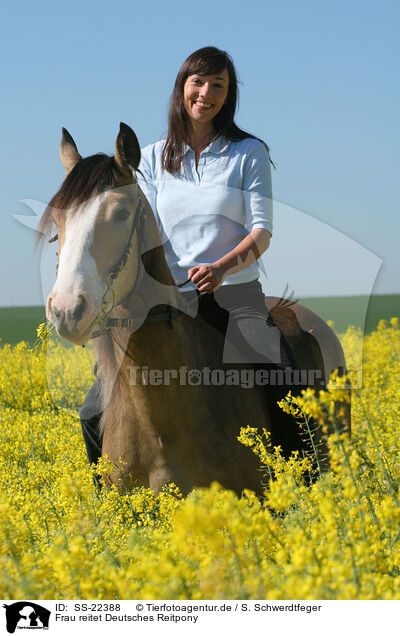 Frau reitet Deutsches Reitpony / woman rides pony / SS-22388