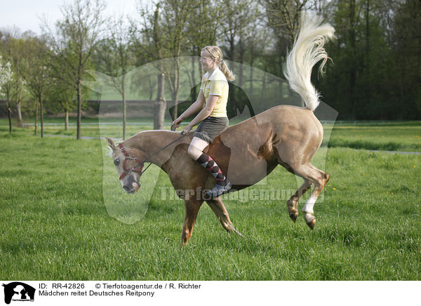 Mdchen reitet Deutsches Reitpony / girl rides pony / RR-42826