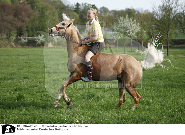 Mdchen reitet Deutsches Reitpony / girl rides pony / RR-42828