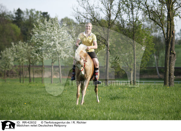 Mdchen reitet Deutsches Reitpony / girl rides pony / RR-42832