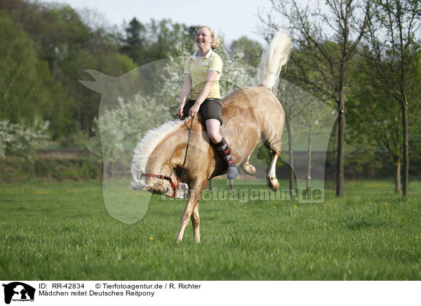 Mdchen reitet Deutsches Reitpony / girl rides pony / RR-42834