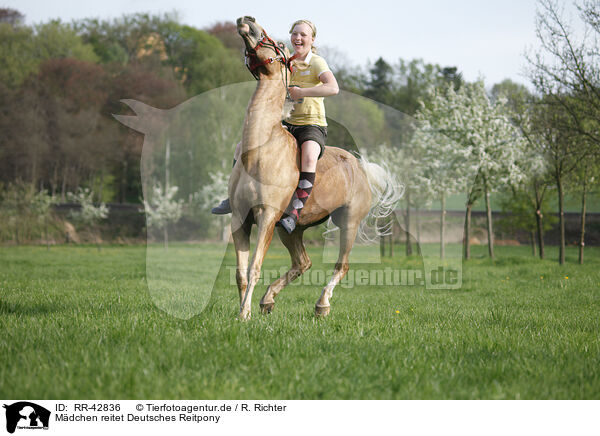 Mdchen reitet Deutsches Reitpony / girl rides pony / RR-42836