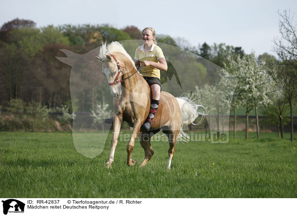 Mdchen reitet Deutsches Reitpony / girl rides pony / RR-42837