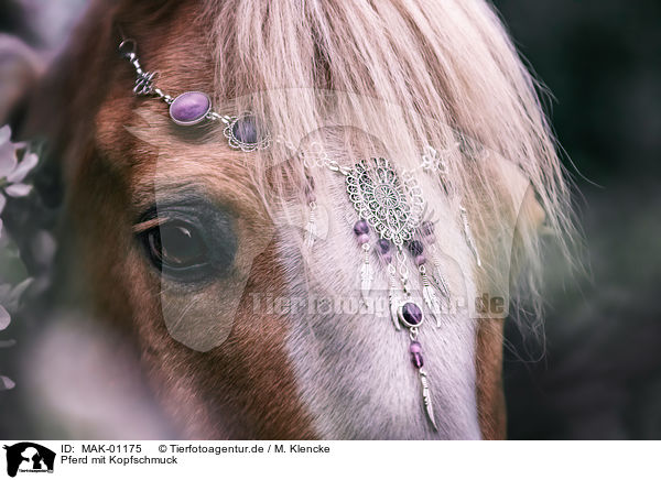 Pferd mit Kopfschmuck / horse with headdress / MAK-01175