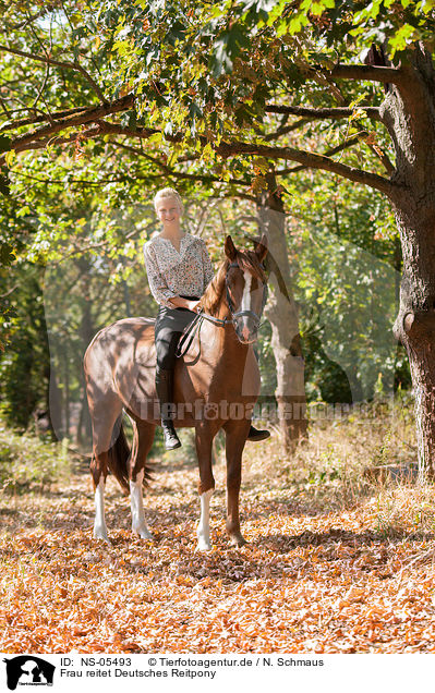 Frau reitet Deutsches Reitpony / woman rides German Riding Pony / NS-05493