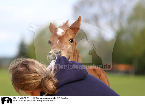 Frau und Deutsches Reitpony Fohlen / woman and German Riding Pony foal / PM-07921